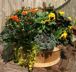 Annuals - Large Fall Basket Collection from Mischler's Florist and Greenhouses in Williamsville, NY