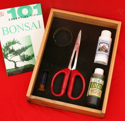 Bonsai Starter Kit from Mischler's Florist and Greenhouses in Williamsville, NY