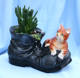 Succulent Boot Buddy Cat from Mischler's Florist and Greenhouses in Williamsville, NY