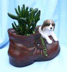 Succulent Boot Buddy Dog from Mischler's Florist and Greenhouses in Williamsville, NY