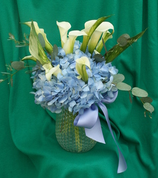 Callas in a Cloud - Blue from Mischler's Florist and Greenhouses in Williamsville, NY