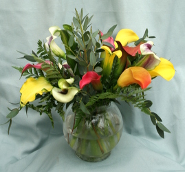 Classy Calla - Mixed from Mischler's Florist and Greenhouses in Williamsville, NY