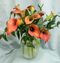 Classy Calla- Yellow/Orange from Mischler's Florist and Greenhouses in Williamsville, NY