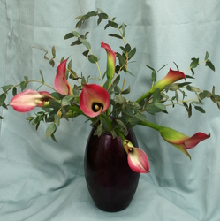 Classy Calla - Red Alert from Mischler's Florist and Greenhouses in Williamsville, NY