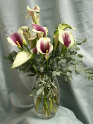 Classy Calla - Purple from Mischler's Florist and Greenhouses in Williamsville, NY