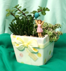 Happy Birthday Mini Garden from Mischler's Florist and Greenhouses in Williamsville, NY