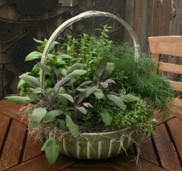 Herb Basket from Mischler's Florist and Greenhouses in Williamsville, NY