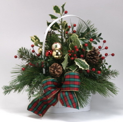 Holly Greens Basket from Mischler's Florist and Greenhouses in Williamsville, NY