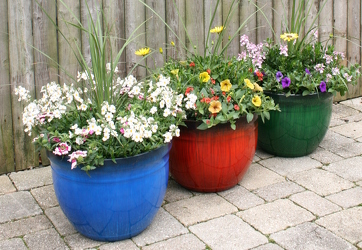 Decorative Patio Pot from Mischler's Florist and Greenhouses in Williamsville, NY