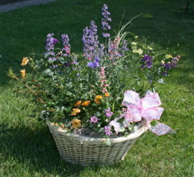 Basket of Perennials from Mischler's Florist and Greenhouses in Williamsville, NY