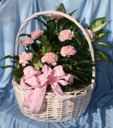Basket Planter Pastel from Mischler's Florist and Greenhouses in Williamsville, NY