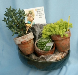 Mini Garden Succulent Kit from Mischler's Florist and Greenhouses in Williamsville, NY