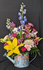 Sprinkle of Spring  from Mischler's Florist and Greenhouses in Williamsville, NY