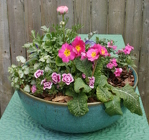 12 Inch Ceramic Bowl from Mischler's Florist and Greenhouses in Williamsville, NY