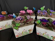 African Violets  from Mischler's Florist and Greenhouses in Williamsville, NY