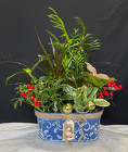 Blue Christmas Dish Garden from Mischler's Florist and Greenhouses in Williamsville, NY