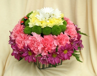 Biedermeier from Mischler's Florist and Greenhouses in Williamsville, NY