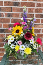 Sunny Daze from Mischler's Florist and Greenhouses in Williamsville, NY