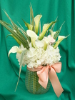 Callas in a Cloud from Mischler's Florist and Greenhouses in Williamsville, NY