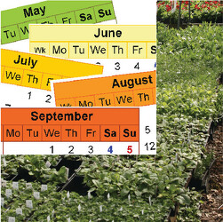 Gardens To Go - Constant Color from Mischler's Florist and Greenhouses in Williamsville, NY