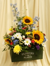 Everything Summer from Mischler's Florist and Greenhouses in Williamsville, NY