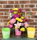Fun in the Sun from Mischler's Florist and Greenhouses in Williamsville, NY