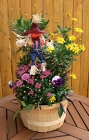 Fall Annuals Mix Basket from Mischler's Florist and Greenhouses in Williamsville, NY