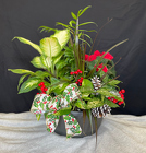 Holiday Dishgarden from Mischler's Florist and Greenhouses in Williamsville, NY