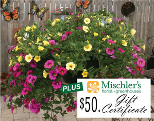 Hanging Basket & $50 Gift Cert. from Mischler's Florist and Greenhouses in Williamsville, NY