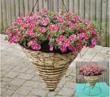 Hanging Woven Cone Basket with Stand from Mischler's Florist and Greenhouses in Williamsville, NY