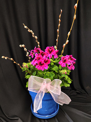 Martha Washington Ceramic Pot from Mischler's Florist and Greenhouses in Williamsville, NY