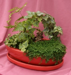 Mini Garden A Special Place from Mischler's Florist and Greenhouses in Williamsville, NY