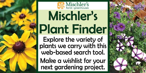 NEW! Plant Finder from Mischler's Florist and Greenhouses in Williamsville, NY