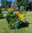 Perennial Basket from Mischler's Florist and Greenhouses in Williamsville, NY