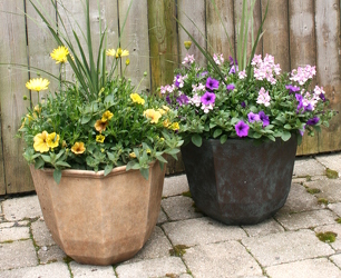 Decorative 14" Octagonal Patio Pot from Mischler's Florist and Greenhouses in Williamsville, NY