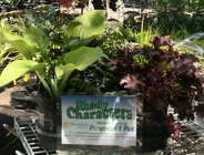 Go Garden Shady Characters from Mischler's Florist and Greenhouses in Williamsville, NY