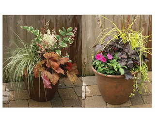 Perennial Patio Pot - Shade from Mischler's Florist and Greenhouses in Williamsville, NY