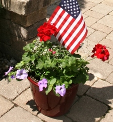 Red, White and Blue from Mischler's Florist and Greenhouses in Williamsville, NY