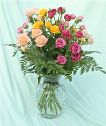Spray Roses from Mischler's Florist and Greenhouses in Williamsville, NY