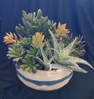 Succulent Planter from Mischler's Florist and Greenhouses in Williamsville, NY