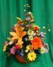 Sunny Daze from Mischler's Florist and Greenhouses in Williamsville, NY