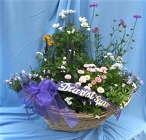 Sympathy Perennial Basket from Mischler's Florist and Greenhouses in Williamsville, NY