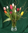 Assorted Tulip Vase from Mischler's Florist and Greenhouses in Williamsville, NY