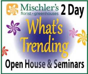 What's Trending - March 27 & 28 from Mischler's Florist and Greenhouses in Williamsville, NY