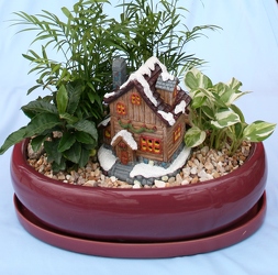 Winter Holiday Lodge Mini Garden from Mischler's Florist and Greenhouses in Williamsville, NY