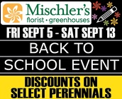 Back to School at Mischler's from Mischler's Florist and Greenhouses in Williamsville, NY