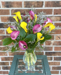 Callas from the Greenhouse