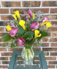 Callas from the Greenhouse from Mischler's Florist and Greenhouses in Williamsville, NY