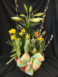 Easter Lily Bulb Pan from Mischler's Florist and Greenhouses in Williamsville, NY