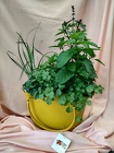 Herb Tote from Mischler's Florist and Greenhouses in Williamsville, NY